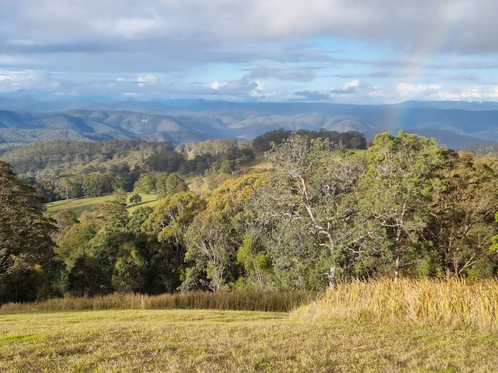 The ranges from 1226 Rivertree Road, Liston, looking south across the Granite Belt